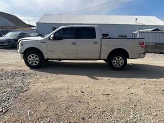 2013 Ford F-150 Limited - Exterior Side Driver Image